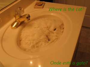 Where is the cat?  Onde está o gato?